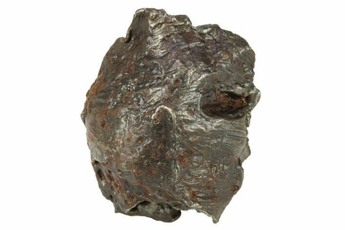 Sikhote-Alin Iron Meteorite Shrapnel ( g) - Russia #287725